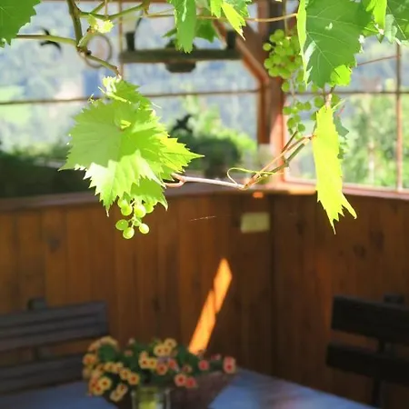 Lägenhet Brigitte *